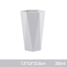 Load image into Gallery viewer, Household Washing Cup Couple Brushing Cups Plastic Creative Simple Nordic Toothbrush Cup Mug
